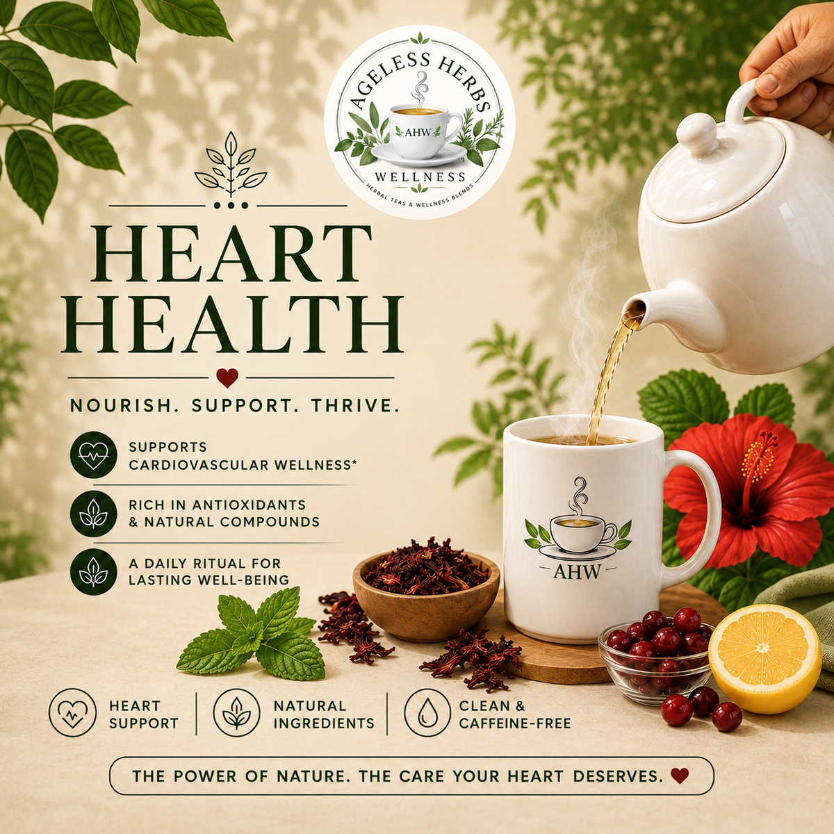 Heart Health herbal tea collection featuring a white teapot pouring tea into an Ageless Herbs Wellness mug with hibiscus flowers, dried hibiscus, cranberries, lemon, mint, and natural botanicals on a cream background.