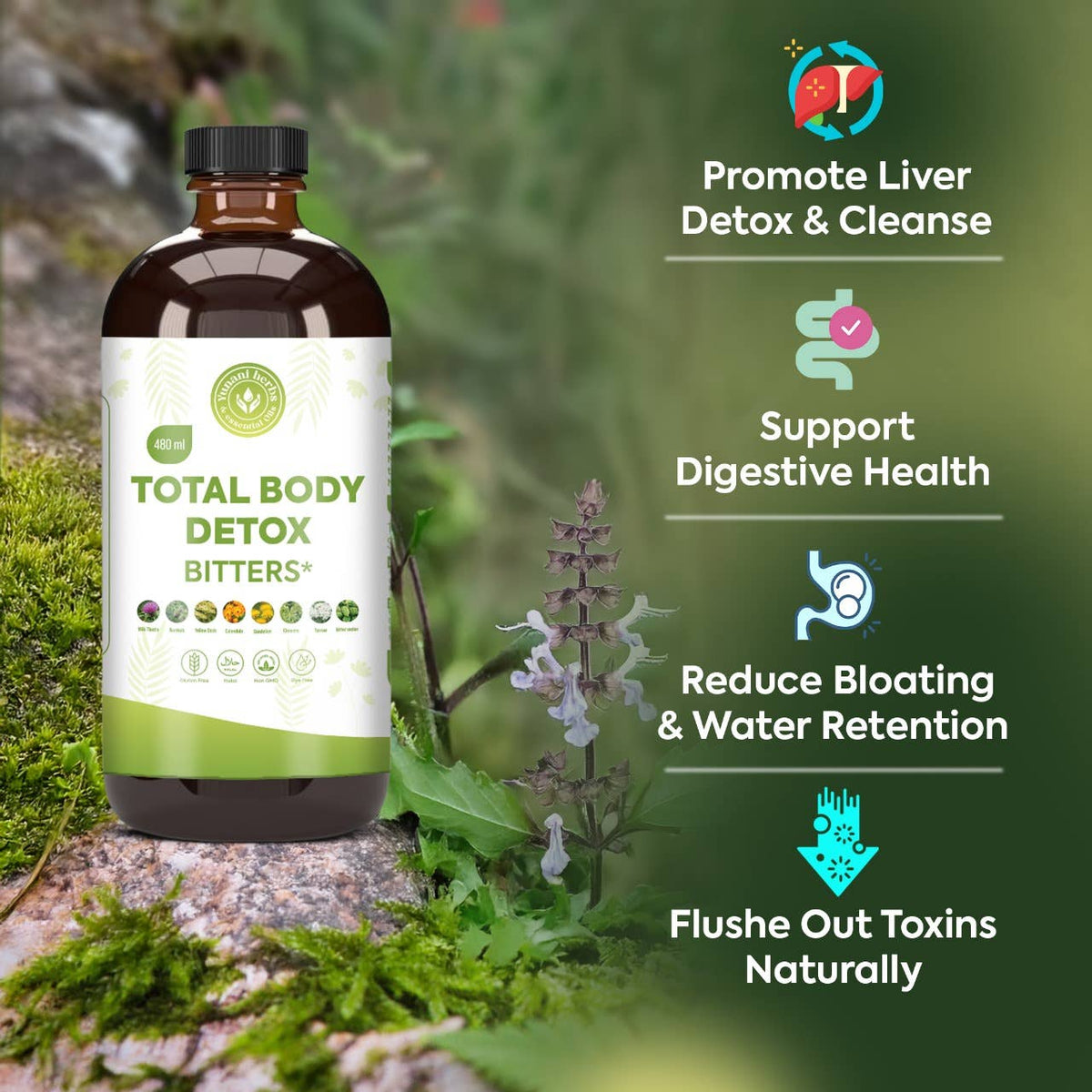 Total Body Detox Living Bitters – Herbal Wellness Tonic 480 mL