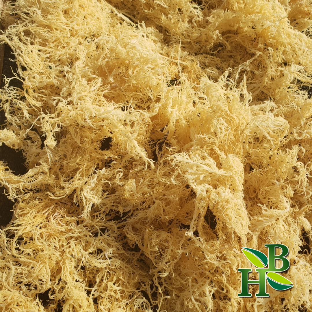 Close-up of beige fibers with a brand logo in the corner