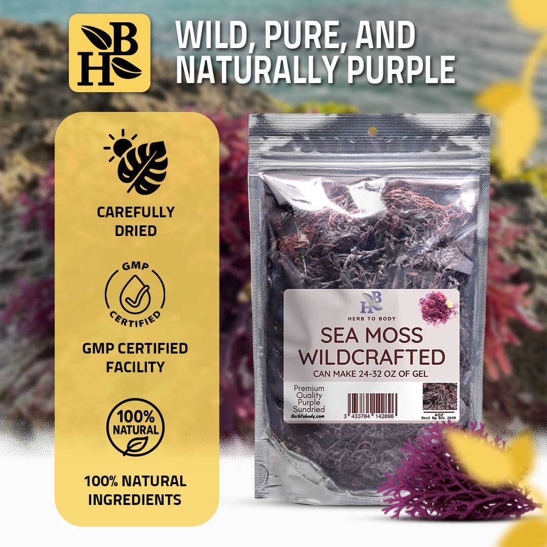 Wildcrafted Purple Sea Moss from Caribbean - 4oz