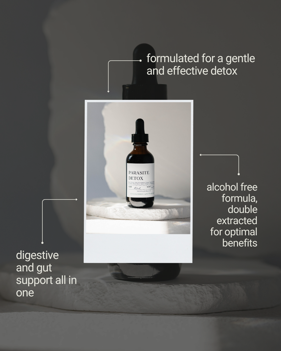 10-Day Herbal Cleanse Tincture — 2 oz