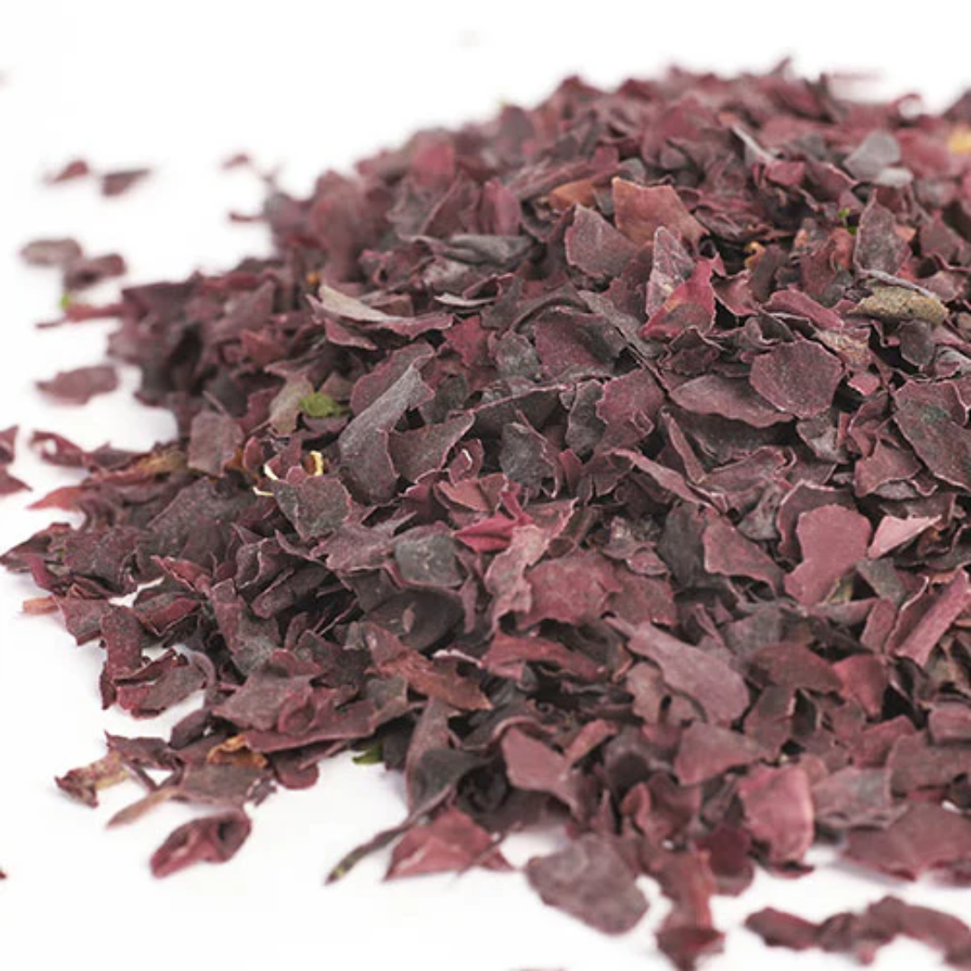 Dried purple herbs on a white background