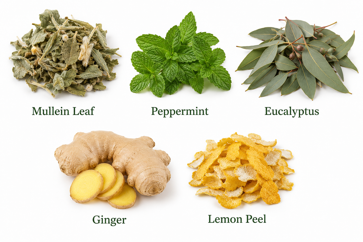 Herbal ingredients including mullein leaf, peppermint, eucalyptus, ginger, and lemon peel on a white background.