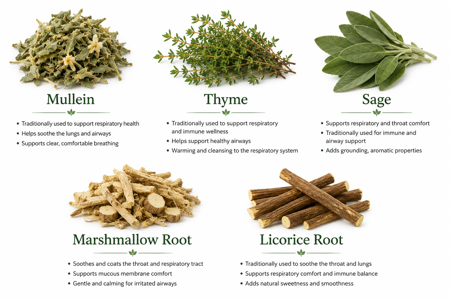 Herbal roots and leaves that helps support the airway with their traditional uses on a white background
