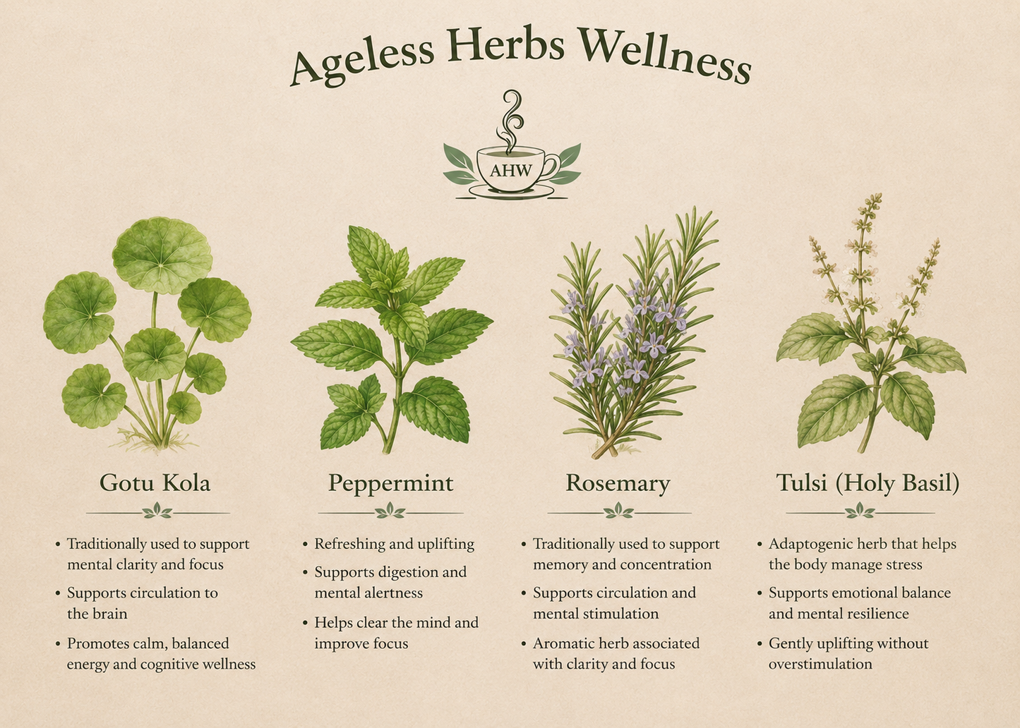 Illustration of Ageless Herbs Wellness with four herbs and their benefits on a beige background.