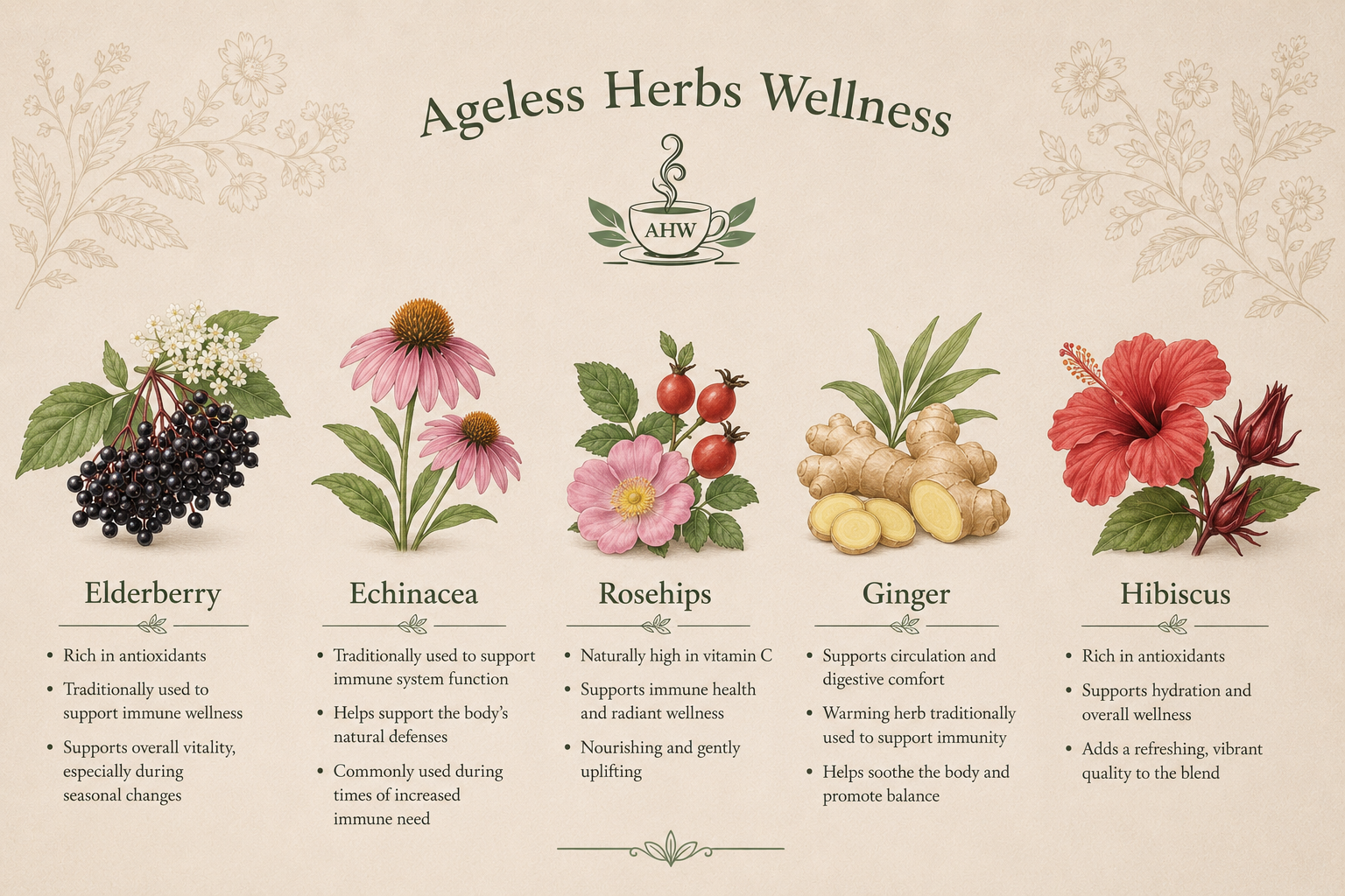 Illustration of Ageless Herbs Wellness with herbs and their benefits on a decorative background.