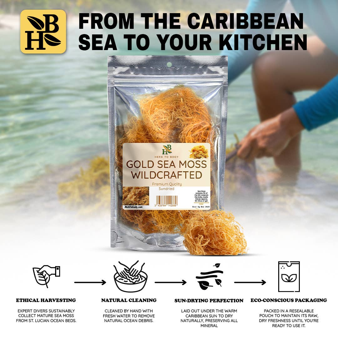 Packaged gold sea moss with branding and text on a beach background