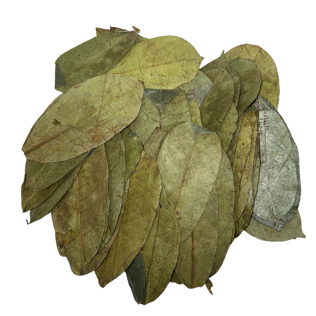 Stack of dried leaves on a white background