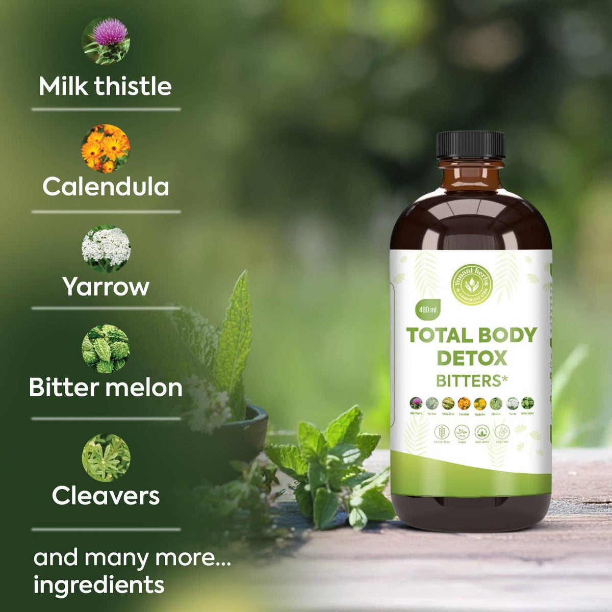 Total Body Detox Living Bitters – Herbal Wellness Tonic 480 mL