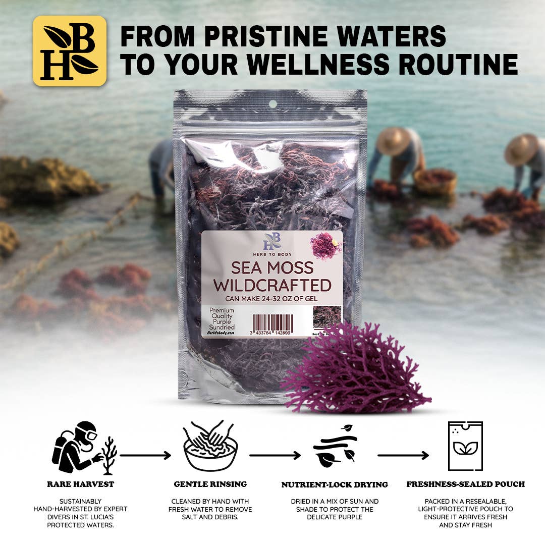 Packaged sea moss with branding and text about its journey from pristine waters to a wellness routine.